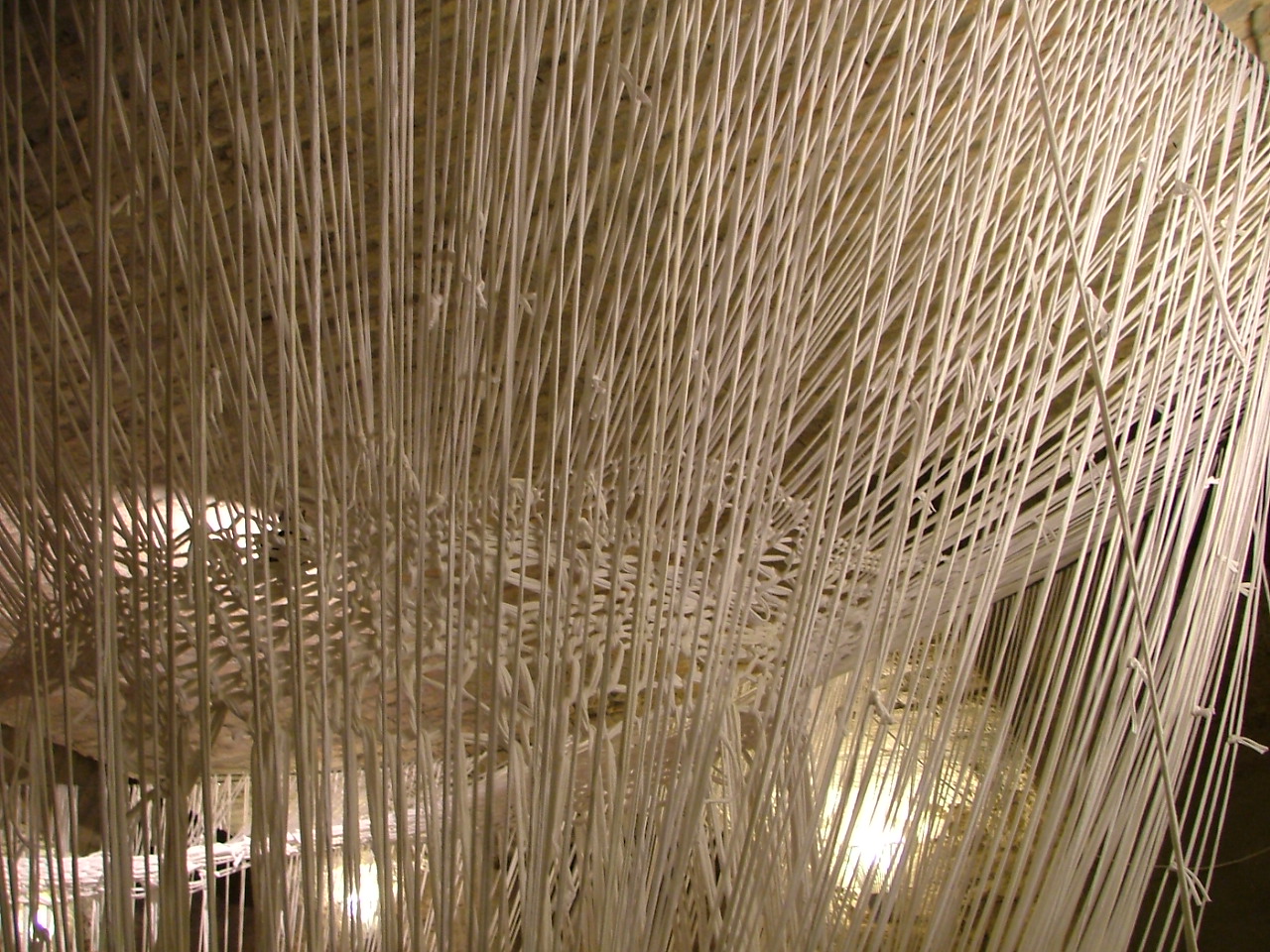 2004 0930Image0129